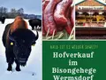 Bisongehege Wermsdorf in Wermsdorf